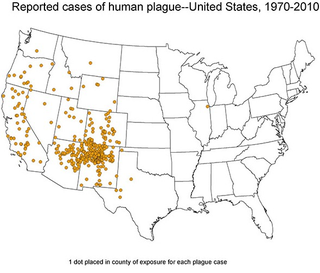 Illustration for article titled The Plague First Came to the United States Through San Francisco